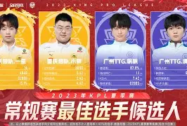 Lanbo-F1季后赛焦点战：闽南天狼队翻盘江畔白虎队，外线火力全开。主场山呼海啸的简单介绍